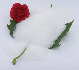 Який тип поліакриламіду більш ефективний для очищення стічних вод для миття автомобілів?