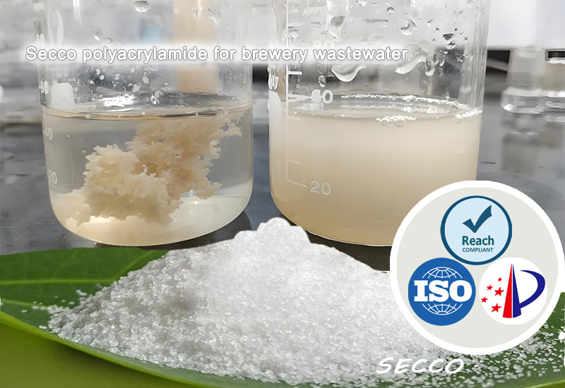 Вибір та ефективність поліакриламіду (ПАМ) в очищенні пивоварних стічних вод